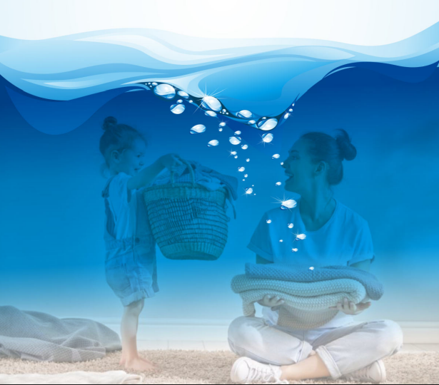 PICK MY LAUNDRY FRANCHISE